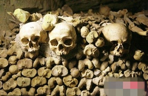 美国费城穆特尔医学史博物馆