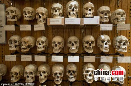 博物馆展品涵盖病理学,生物学以及古代医