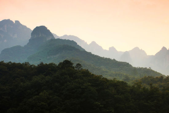 位于阳城县南33公里的桑林乡,面积58平方公里,境内山石林立,山青水秀,百鸟啼鸣,百花竞放。有猕猴、大鲵(娃娃鱼)、麝、金猫、金雕、金钱豹、大黑蝴蝶和山白树、领春木、青檀、兰草、山萸树、红豆杉等珍稀动植物。著名的水帘洞、猴头山、九曲溪、莲花池,水清如碧玉,别有神韵,一年四季均有迷人秀景,尤以秋天看层林尽染最为赏心悦目。栖居蟒河、调皮地穿梭于林木乱石间的猕猴,活泼健壮,系中国华北地区罕见的猴群,为游客增添了许多乐趣。全长10公里的地面钙化景观,被地质专家称为中国东部惟一的钙化型峡谷奇观。 历山(垣