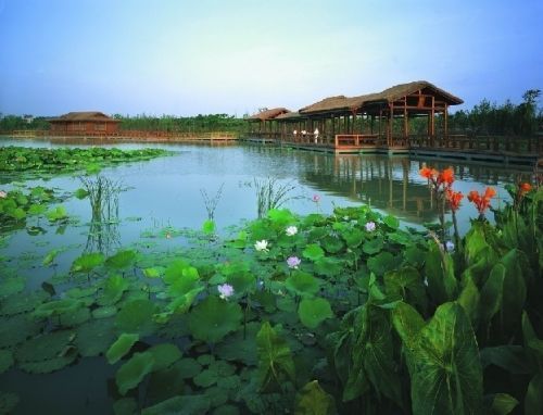 乘着高铁去旅行 周末上海周边游