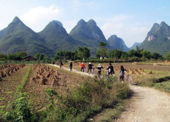 在阳朔骑行成为山水画卷里的一部分