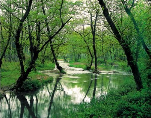 天源碧水九溪别墅264平方图片