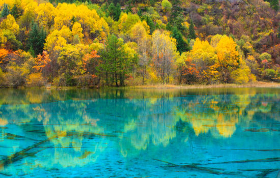 秋季到九寨沟 享大自然的视觉盛宴