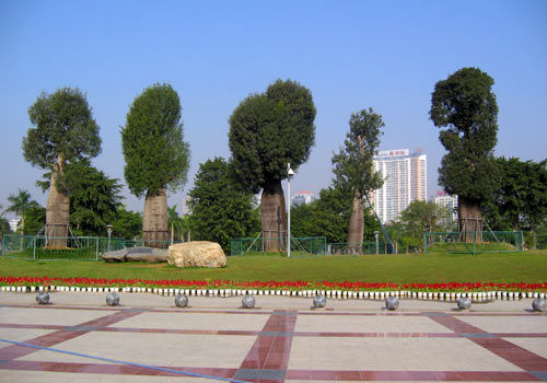 游南湖公园 赏雨林圣境南国绿景