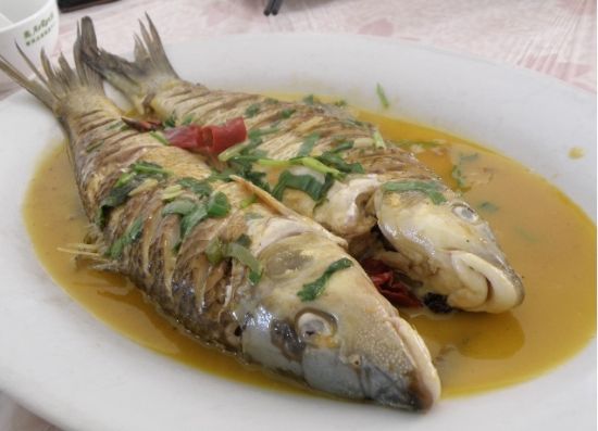 畅游伊春嘉荫品味重唇鱼(图)_新浪旅游_新浪网