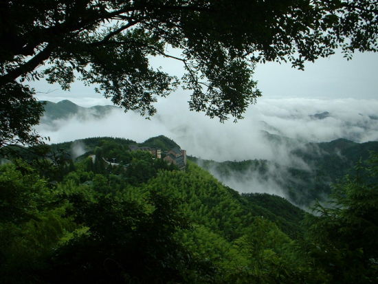 上海及周边赏菊登高景点推荐:普陀山和莫干山
