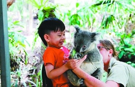 重庆妈妈带4岁儿子 跨越半个地球穷游澳洲