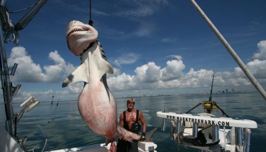 6米黄带鱼惊呆小伙伴 全球捕获的海底怪兽