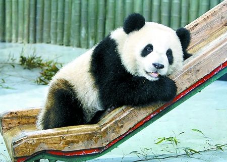 上海亲子游地图:东方绿洲和上海动物园