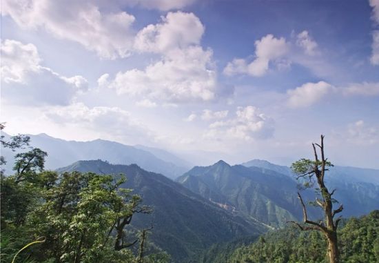 十万大山山脉延绵 壮丽无边的风景