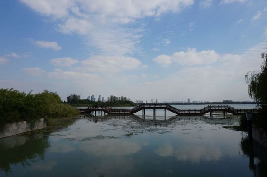 蠡湖,又名五里湖,是太湖伸入无锡的内湖。蠡湖地区,是无锡太湖山水组合奇佳、历史人文积淀深厚的天赐风水宝地。这里,相传2500多年前,越国大夫范蠡协助越王勾践战胜吴国后,功成身退,偕西施隐于蠡湖,在蠡湖畔渔庄撰写了第一部人工养鱼的专著《养鱼经》。他们泛舟湖上,晨看烟收远树山徐出,暮见月落寒涛水正平,渡过了美好的时光。人们为了纪念范蠡,五里湖又称为蠡湖。坐落在蠡湖北岸的青祁村,它因紧傍蠡湖而得名。(据资料) 我这次回江南,很想顺便到母亲的故乡无锡看看。正巧三妹和小妹已经计划到无锡旅游。10月