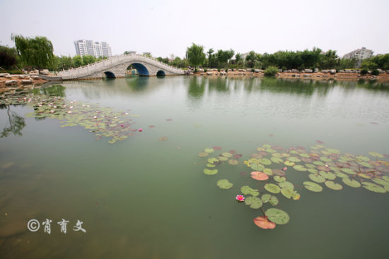 莫言的故乡 平静祥和的高密
