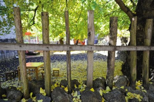 极边福地腾冲 秋冬时节惹人爱