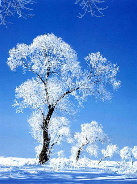 第十九届中国吉林国际雾凇冰雪节正式开幕_新浪旅游_新浪网