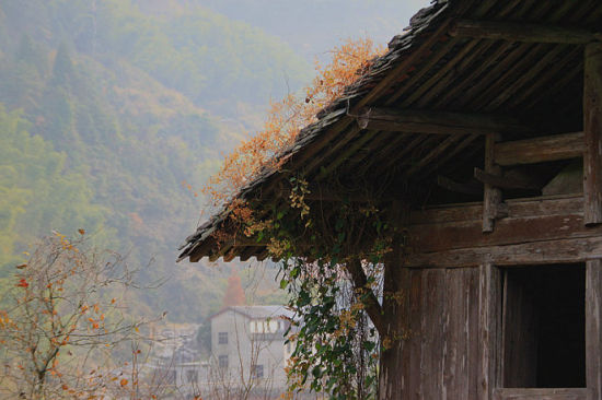 山脚村人口_人口普查(2)