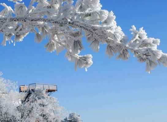 凤凰山中国雪谷冬季绝美风光(组图)