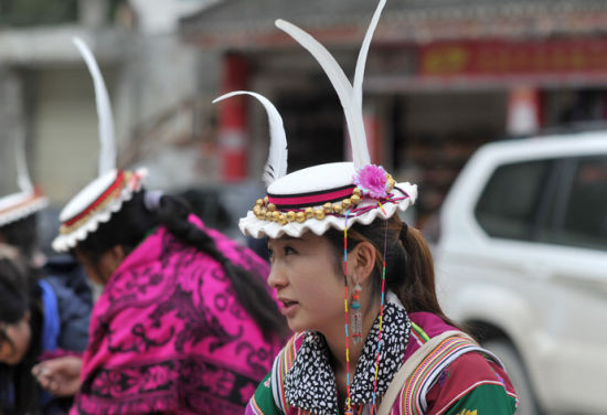 平武人口民族_民族团结手抄报