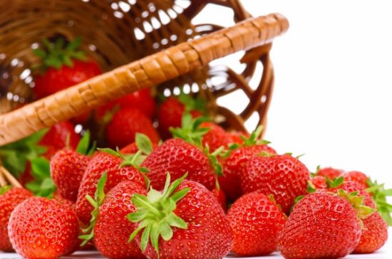 上海哪里摘草莓?上海草莓采摘基地