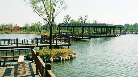 金龙门生态园是一个现代化农业休闲庄园