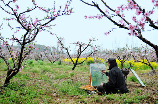 春暖花开 香醉无锡阳山桃花源