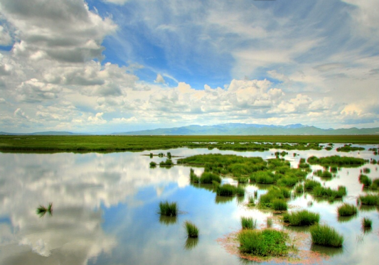 醉美湿地