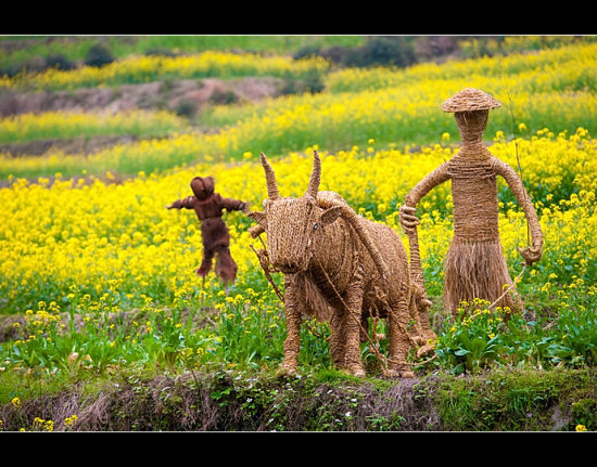 人间四月天 最美在开化_浙江旅游游记攻略_浙