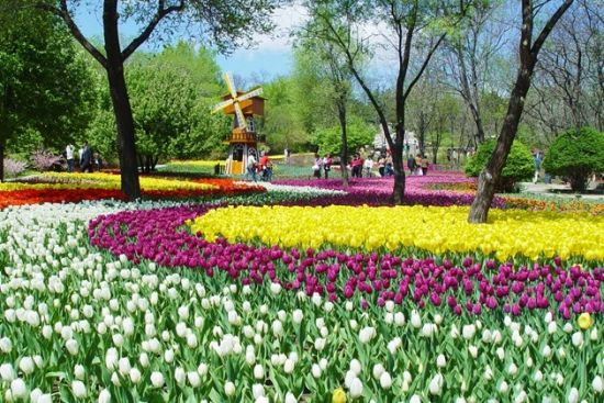 辽宁春游踏青赏花 且看且珍惜