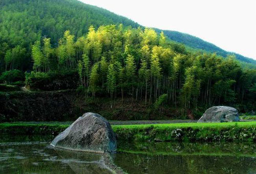 组图:杭州十条最美的徒步路线 发现天堂的别样