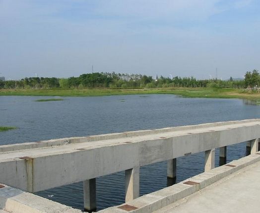 感受垂钓乐趣 武汉钓鱼去处盘点