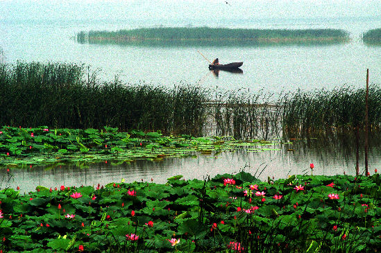 2014年初中毕业生游衡水湖免入湖门票