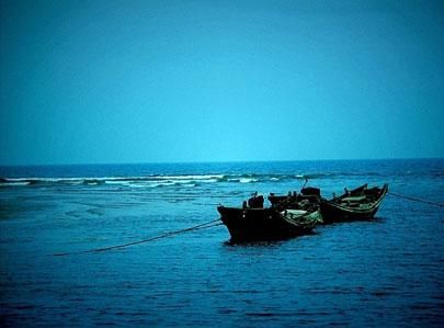 日照东游记 那天我赶海归来(图)