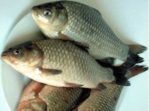 舌尖上的美味 盘点牡丹江各地最著名的鱼
