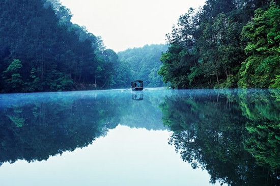 在石象湖遇见梵高 蒲江石象湖