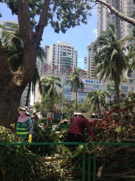 超1000名海口志愿者相应号召 顶烈日协助道路