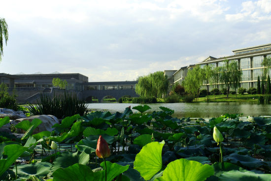 北京稻香湖景酒店荷花节开幕 夏季度假休闲之选