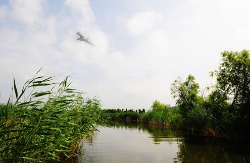 白渔泡湿地公园