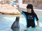  圣淘沙名胜世界 与海豚亲密接触