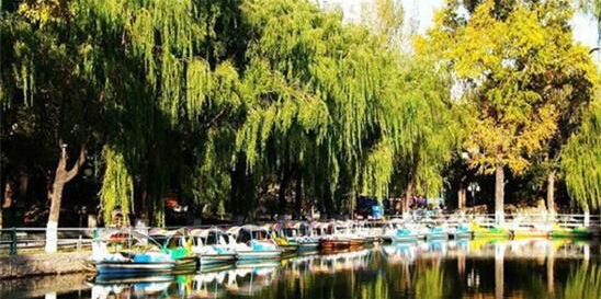 ���������빫԰