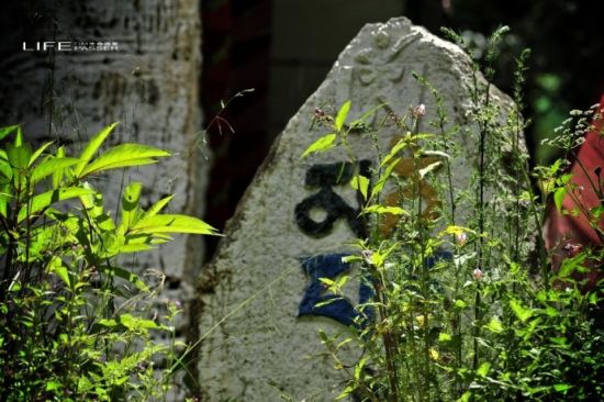 西藏秘境绿色巴松措千年措宗寺 西藏秘境绿色巴松措千年措宗寺