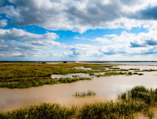 黑龙江最强洗肺地:红豆杉景区_新浪旅游_新浪网