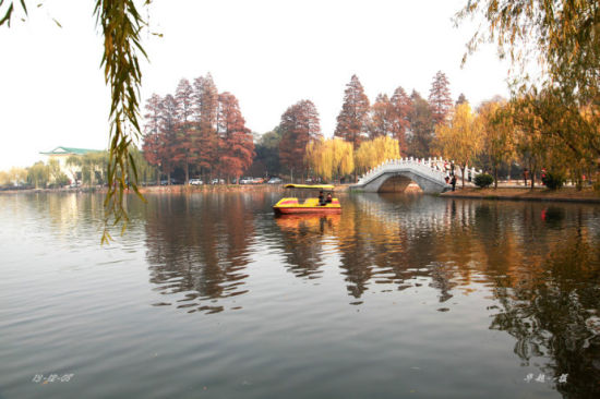 新浪旅游配图:武汉东湖风景区 摄影:超哥休闲摄影