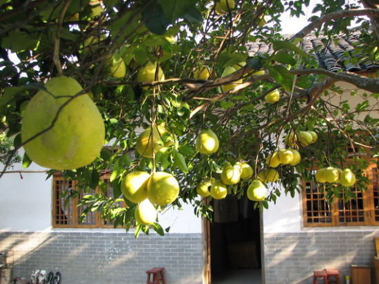 广西区内农家乐游好去处TOP5(2)