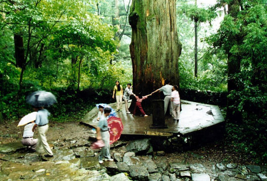 天降长假哪里去 杭州乡野寻清闲(组图)(2)