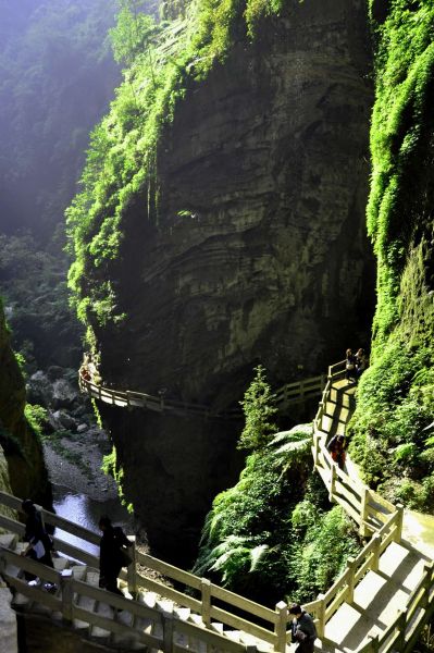 奉节好景 遍山红叶惹人醉 最是橙黄叶红时