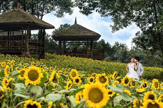 石象湖拍婚纱_动漫婚纱情侣头像