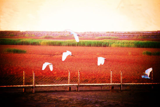 山东四大风情万种旅游胜地推荐(2)