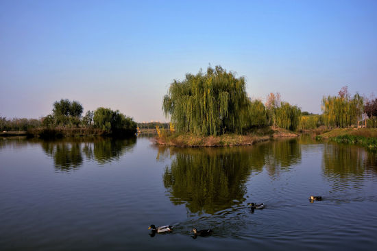 游记攻略 >>西安必去十大文化景区 浐灞湿地公园  浐灞湿地公园(图片
