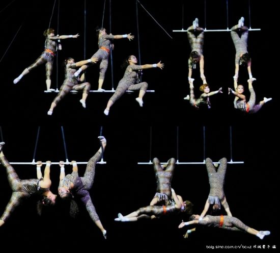 去齐齐哈尔马戏团看演出(组图)