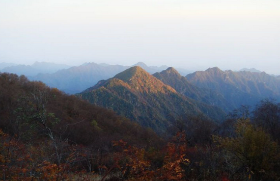 首阳山