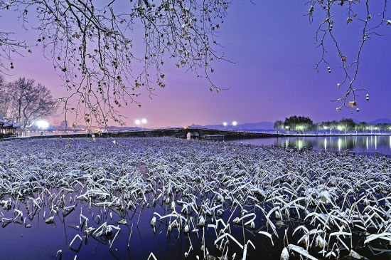 西湖雪景(来源：网络)